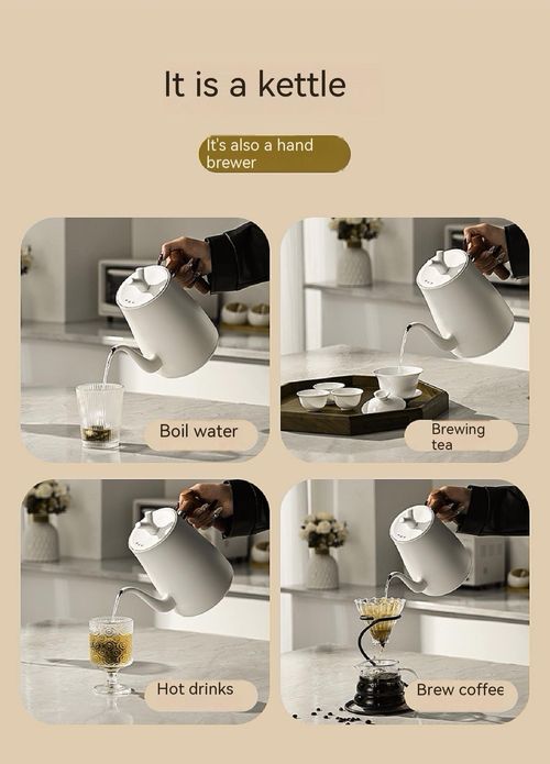 Smart Electric Kettle with Long Curved Spout