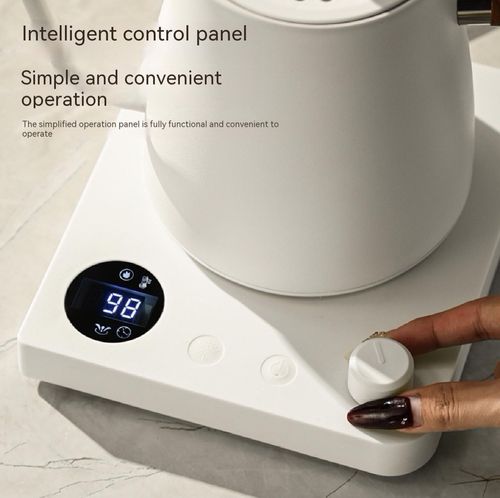 Smart Electric Kettle with Long Curved Spout