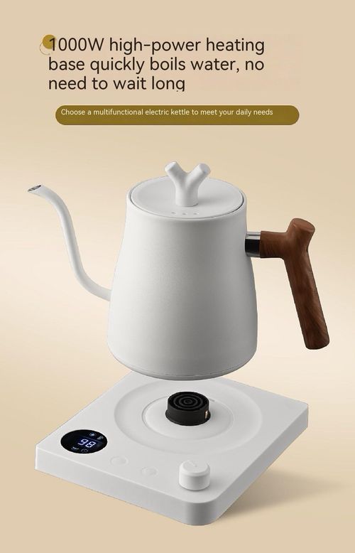 Smart Electric Kettle with Long Curved Spout