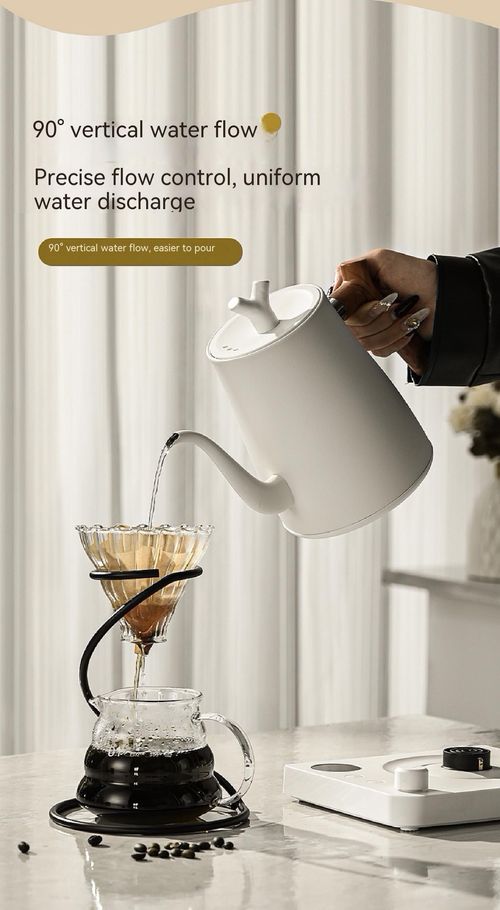 Smart Electric Kettle with Long Curved Spout