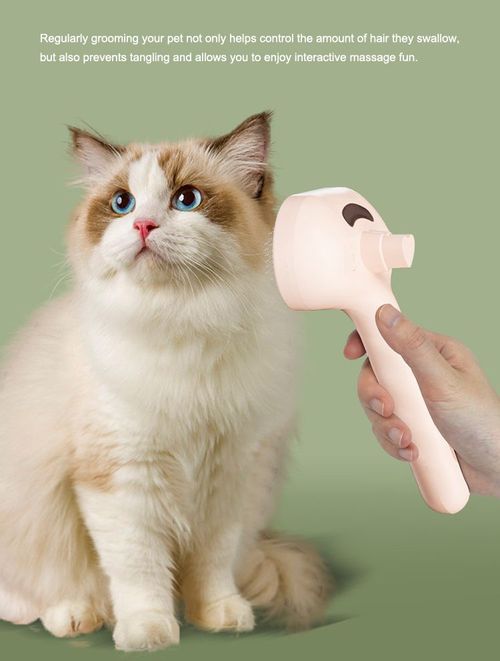 Steam Massage Pet Brush