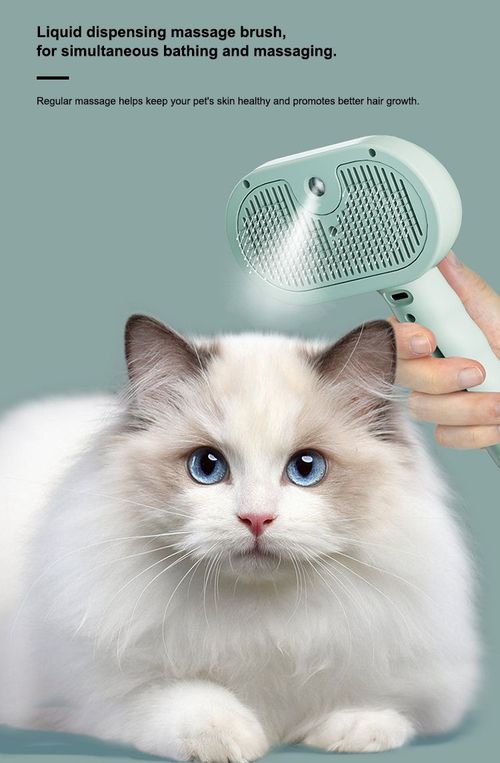 Steam Massage Pet Brush