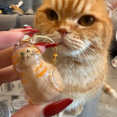 Popular Pet Hair Storage Capsule – Cute Transparent Pendant for Dogs & Cats (Buy One, Get Two Free)