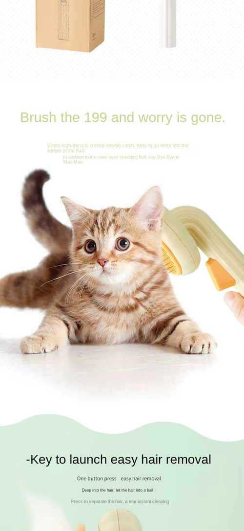 Popular Pumpkin Pet Comb – Silicone & Plastic Grooming Tool for Dogs & Cats (Boxed)