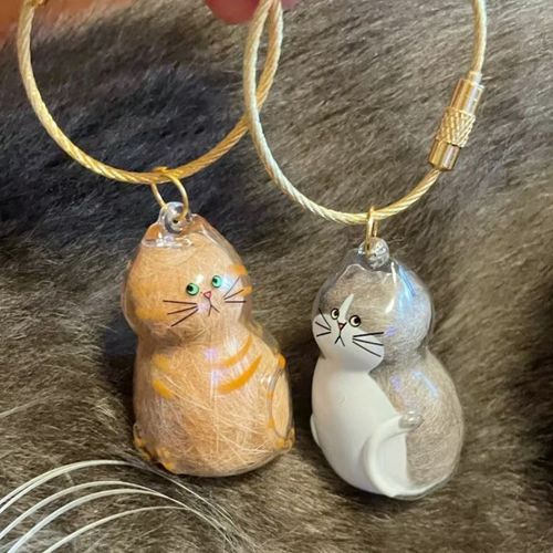 Popular Pet Hair Storage Capsule – Cute Transparent Pendant for Dogs & Cats (Buy One, Get Two Free)