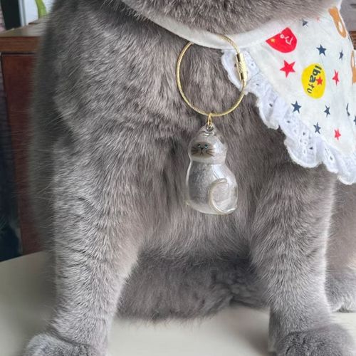 Popular Pet Hair Storage Capsule – Cute Transparent Pendant for Dogs & Cats (Buy One, Get Two Free)