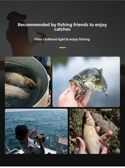 Day and night sunglasses