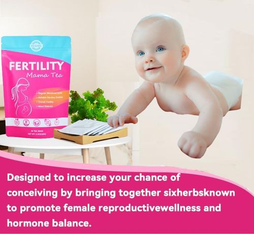 Natural Fertility Tea for Womb Detoxification for Women Who Want to Get Pregnant Vegan Herbal Tea Blend of Sacred Herbs Hormone Balanced infusion