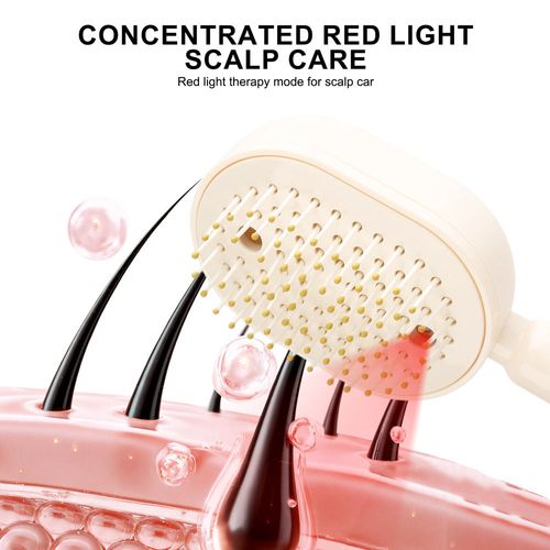 Rechargeable Spray Massage Hair Comb, Electric Mist Detangling Hairbrush