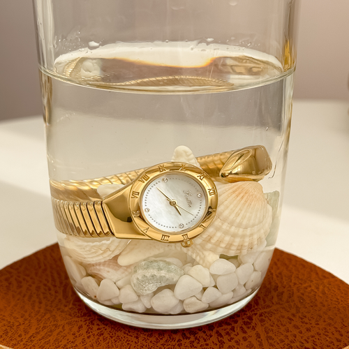 ClassyWatch  (Work  essentials)