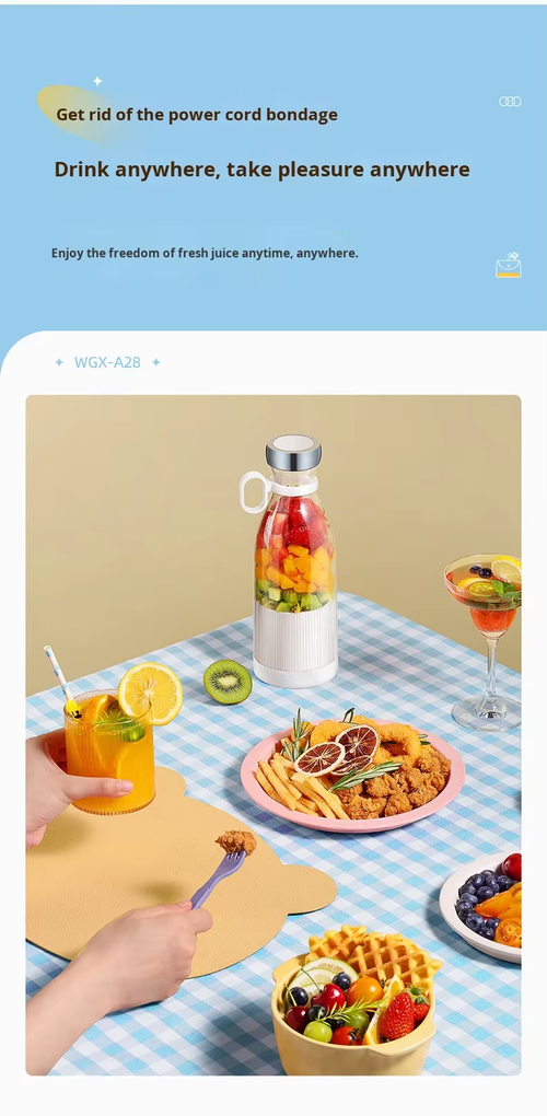 Portable Juicer
