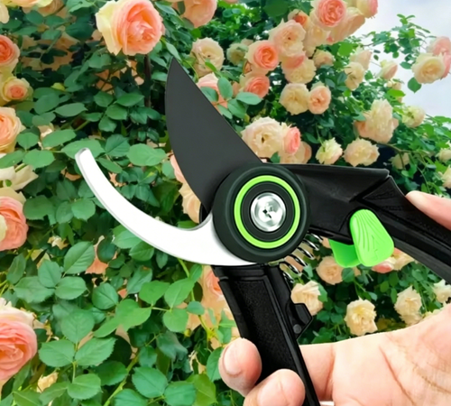 SK5 Steel Garden Pruning Shears for Plants（Cash on delivery is supported）