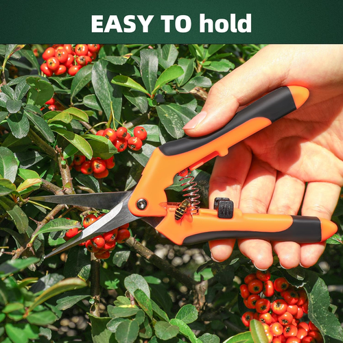 3 Piece Garden Pruning Shears Set Sharp and Durable（Cash on delivery is supported）