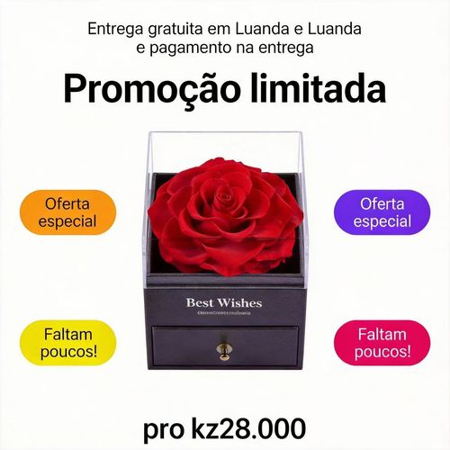 Presente de Dia dos Namorados Caixa de Joias com Rosa Preservada Colar