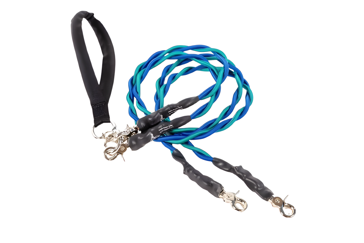 🔥Last Day🔥🐕Double Bungee Leash - 1st step training tool