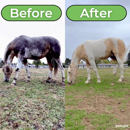 Horse Bath Foamy Nozzle Tool