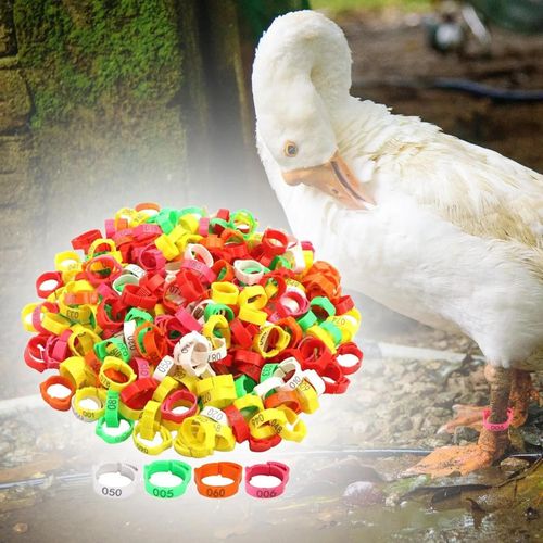 Poultry Leg Bands