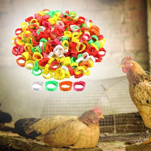 Poultry Leg Bands