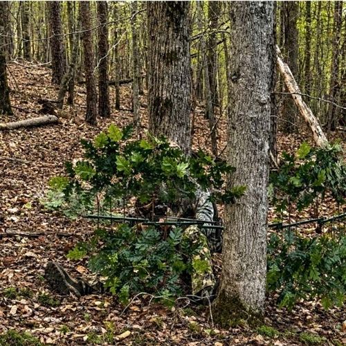 Hunting Concealment Branch