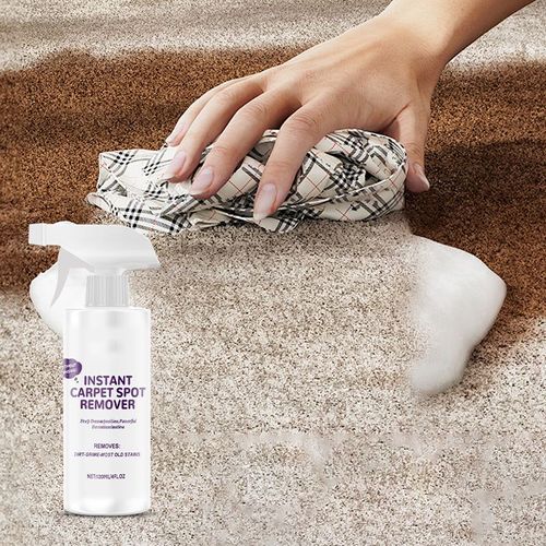 Carpet Cleaner