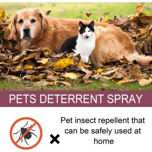 Instant Equine Fly Repellent