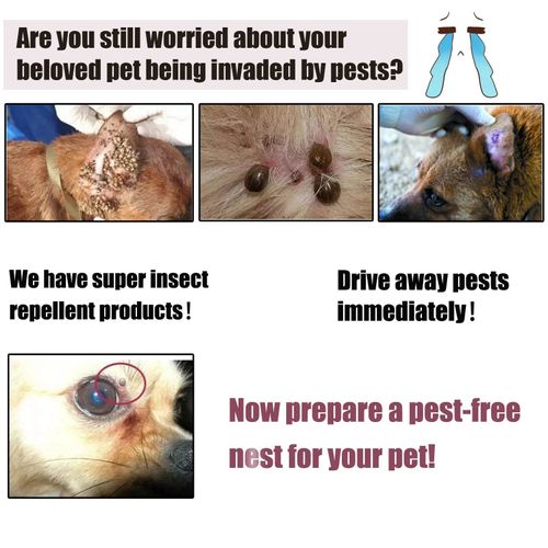 Instant Equine Fly Repellent