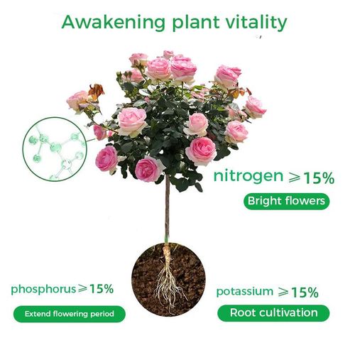 Universal Schnellblühendes Pulver Für Blumenpflanzen