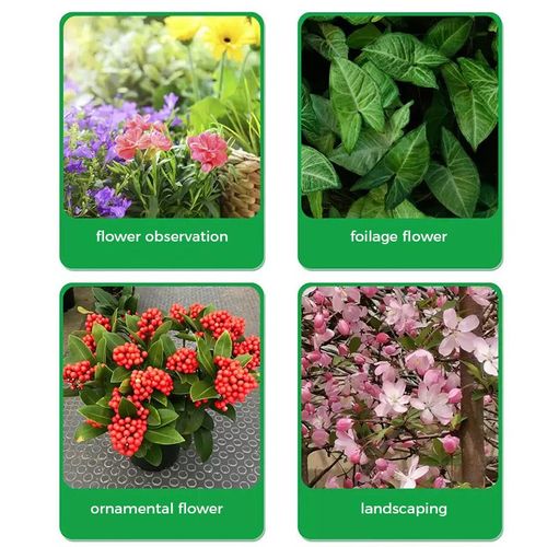 Universal Schnellblühendes Pulver Für Blumenpflanzen
