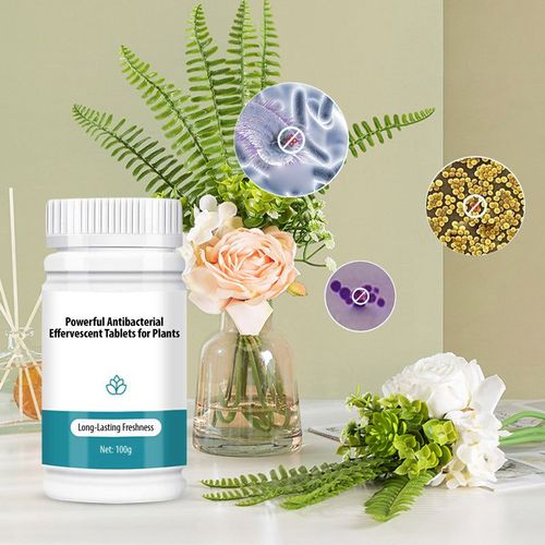 Antibacterial Effervescent Tablets