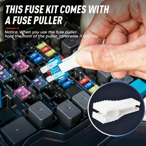 Car Fuse Assortment