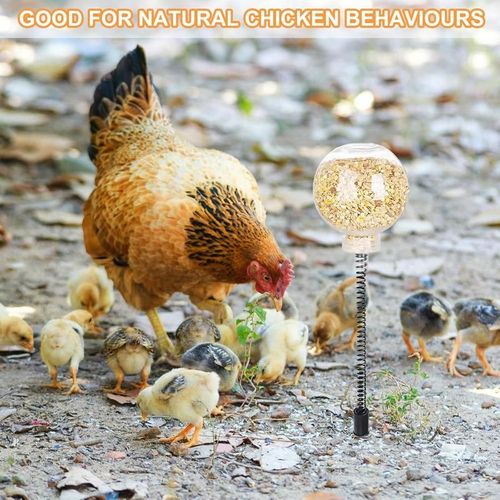 Chicken Peck Toy