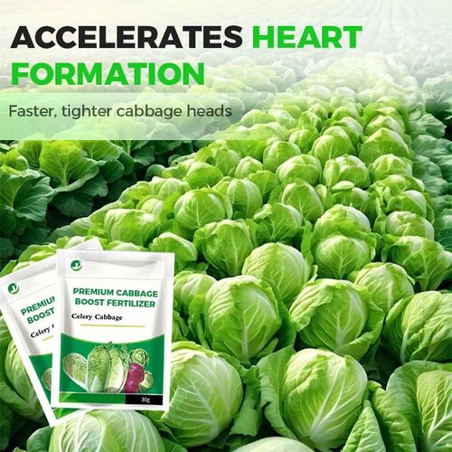 Cabbage Nutrient