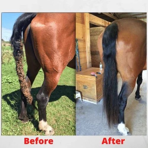 Equine Care Mane & Tail Grooming Rake