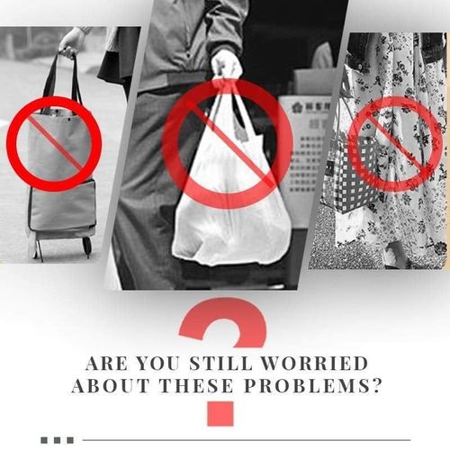 Portable Shopping Bag