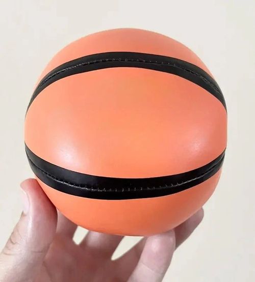 Hanging Indoor Basketball Hoop
