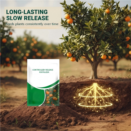 Fertilizer to Fruit Trees