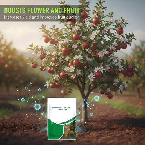 Fertilizer to Fruit Trees