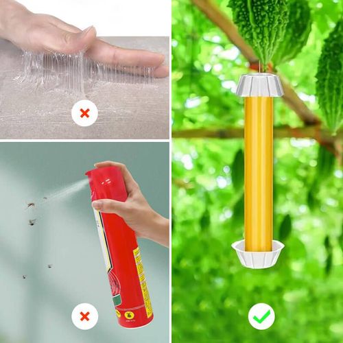 Sticky Traps for Garden Pests