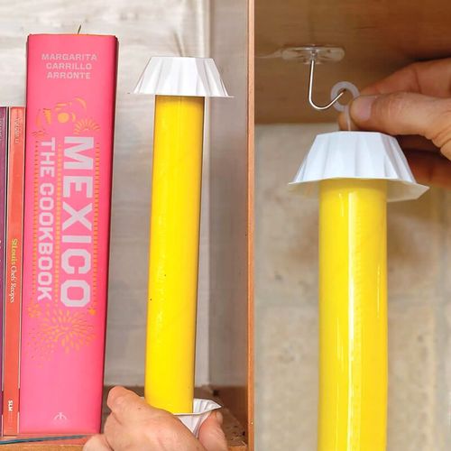 Sticky Traps for Garden Pests