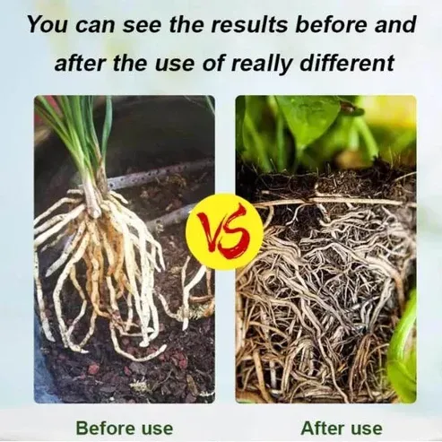 Rooting Powder