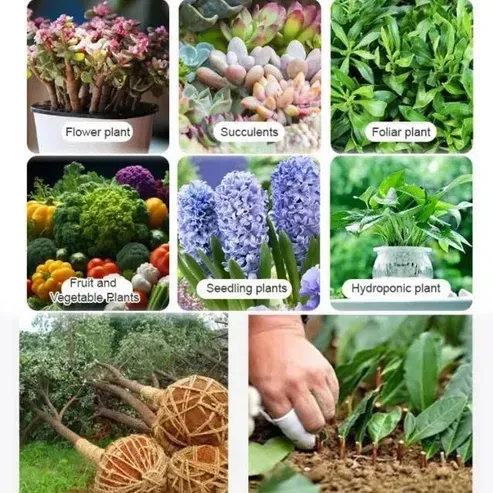 Rooting Powder