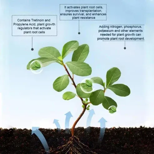 Rooting Powder
