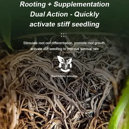 Rooting Powder