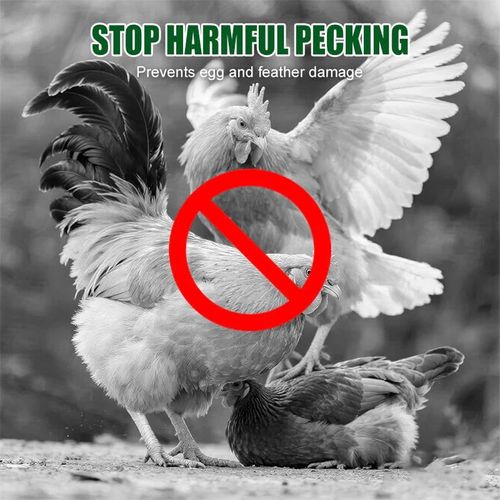 Anti-pecking Poultry Supplement