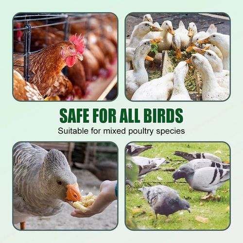 Anti-pecking Poultry Supplement