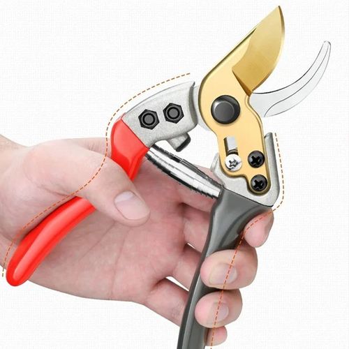 Multi-Purpose Shears