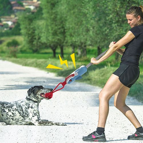 Interactive Shark Dog Tug Toy