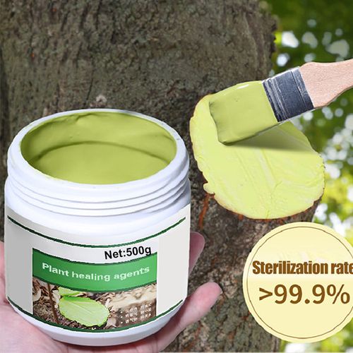 Wound Healing Agent