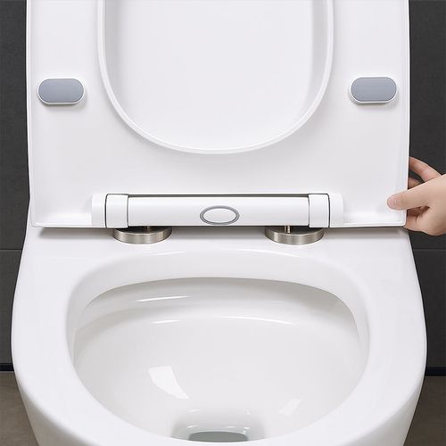 Toilet Seat Mounting Bolts