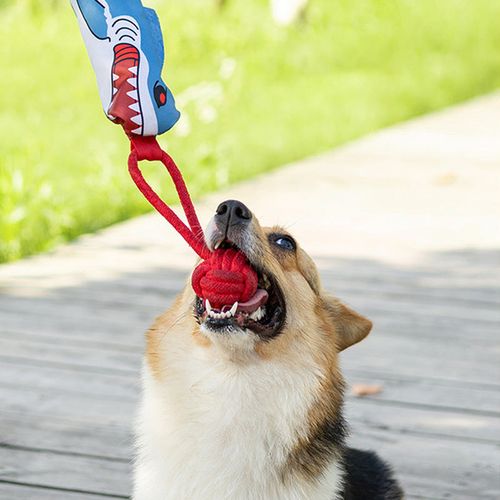 Interactive Shark Dog Tug Toy